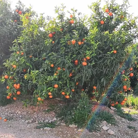 Golf Panoramica Vinaros Espagne Sant Jordi